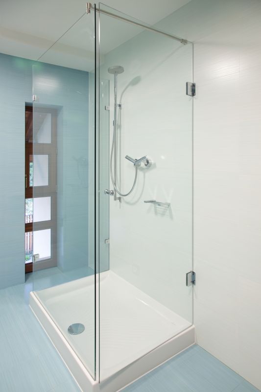 Elegant Shower with Frameless Glass